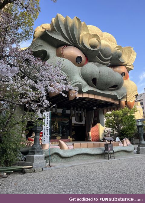 I went on a walk through Osaka and found this shrine