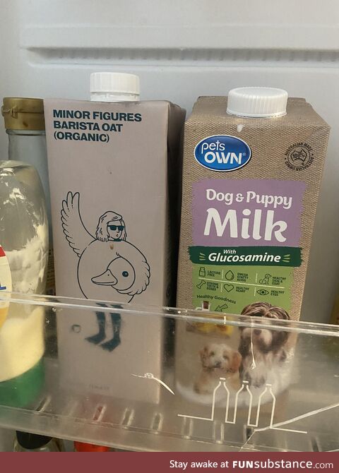 Think I just made my boyfriend a puppy milk latte