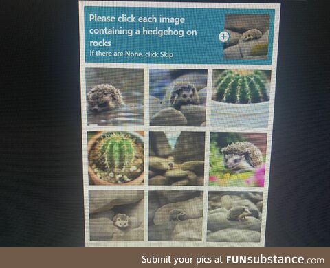 My friends Captcha for logging into her Epic account