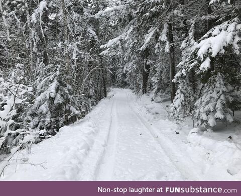 A photo I took while out land surveying a few winters ago in Maine, morning after