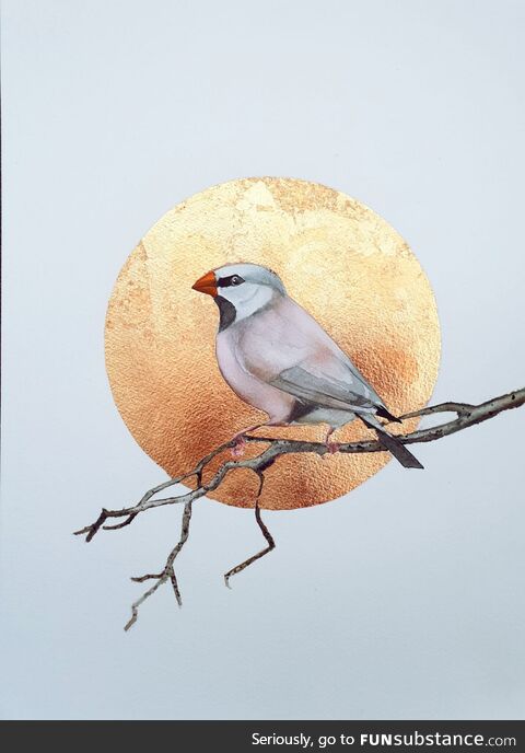 A Finch I painted