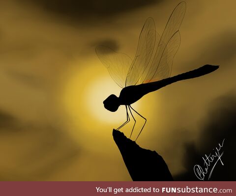  fly before the setting sun  [digital painting, 2022]