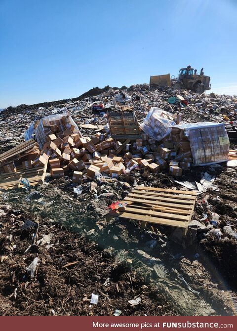 Someone threw away 6 pallets of Magic TG cards at my local city landfill