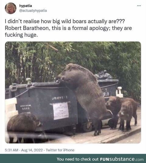 Bobby B was right about these monsters