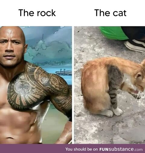 Dwayne "The p*ssy" Johnson