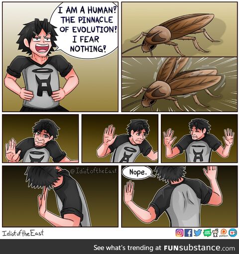 c*ckroaches are not that terrifying... Until they start flying