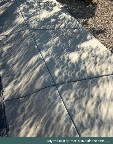 My kid took a photo of a tree shadow during the eclipse this morning