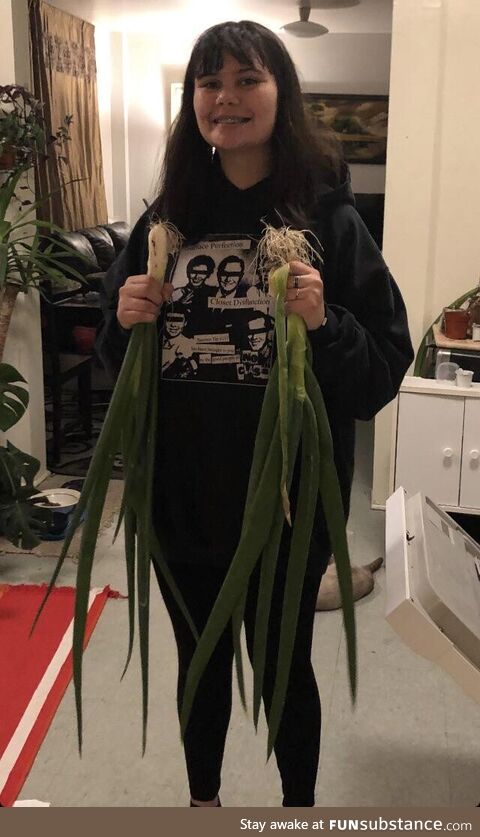 Our neighbor brought us green onions they grew!