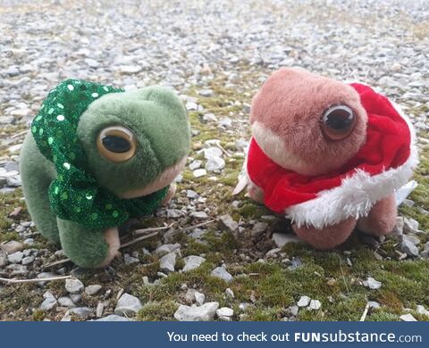 Froggos '23 #307 - Fuzzy Festive Frogs