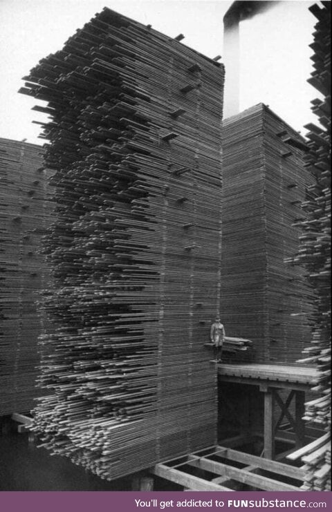 Lumber yard in Seattle-1919