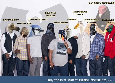 I made the Wu-Tang clan as birds