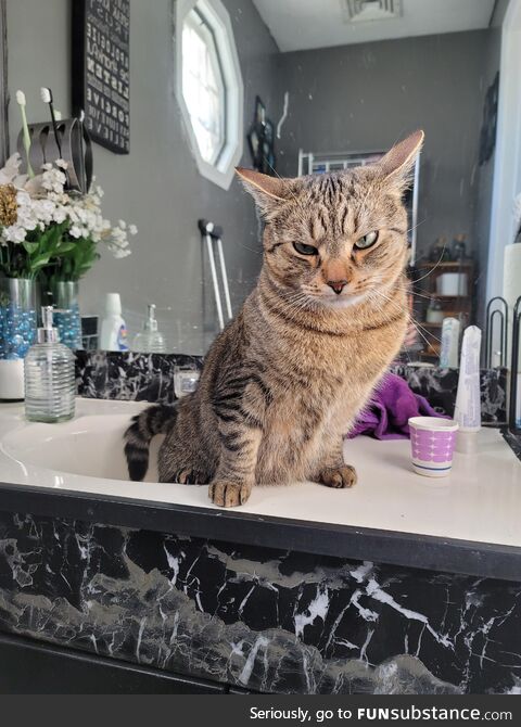 Anyone else's cat use the sink for pee's?