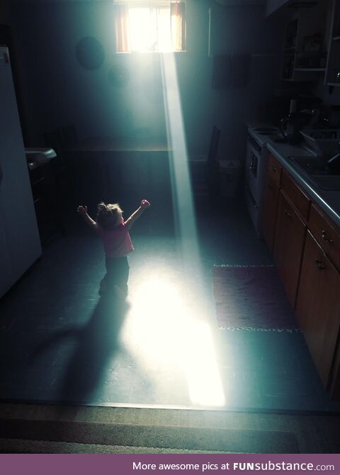 My Daughter Praises the Sunlight (OC)