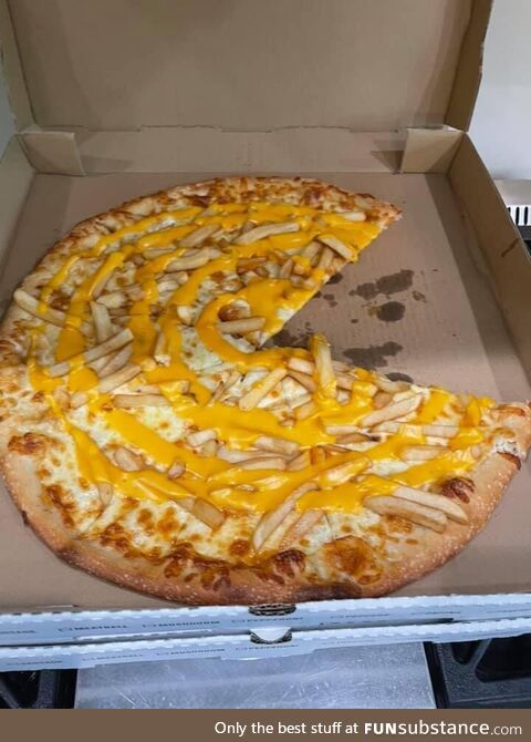 Ordered a large pizza and cheese fries. They delivered this