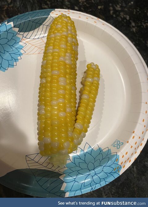 Shocker corn