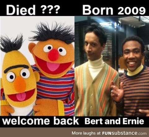 Bert and Ernie College AU