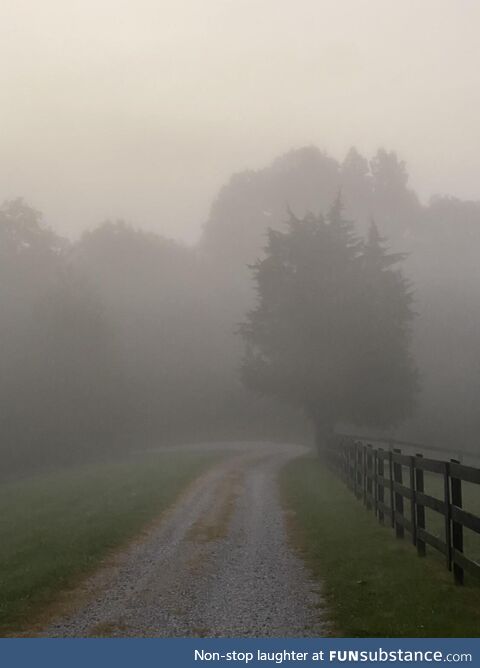 Misty morning at the farm