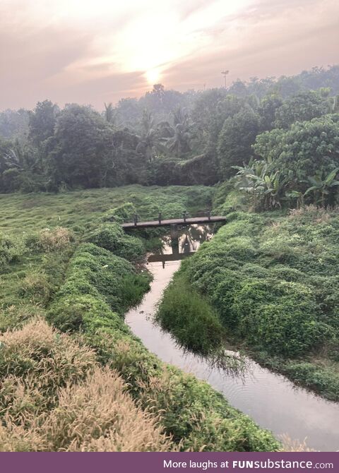 Kerala, india