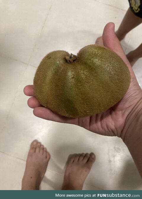 This large kiwi