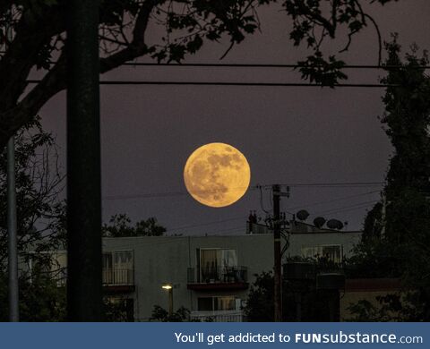 Super moon rising over Foothill Blvd. In Oakland [OC]