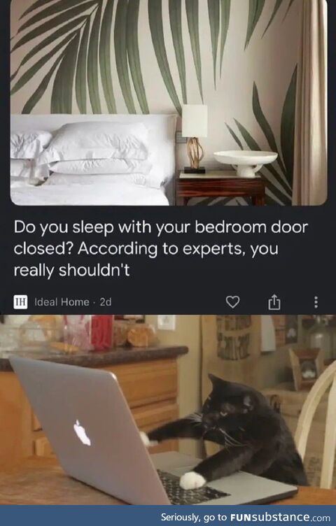 "experts?" on what? Bedroom doors?