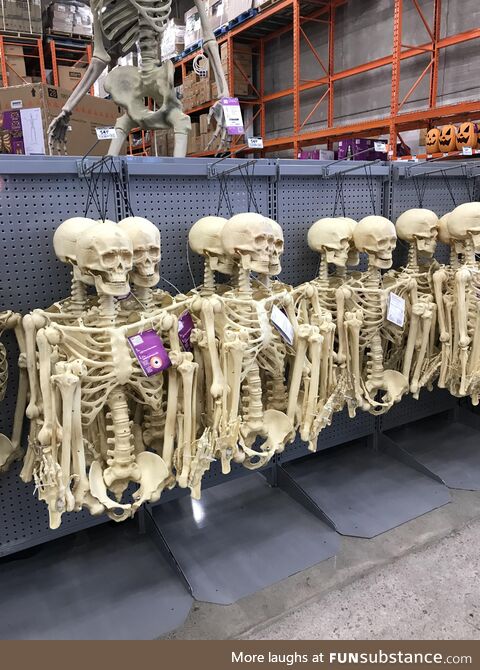 Birthing Skeletons at local building store