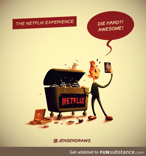 The netflix experience