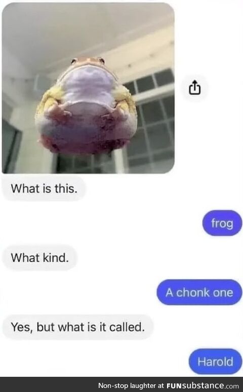 Identifying Chonk