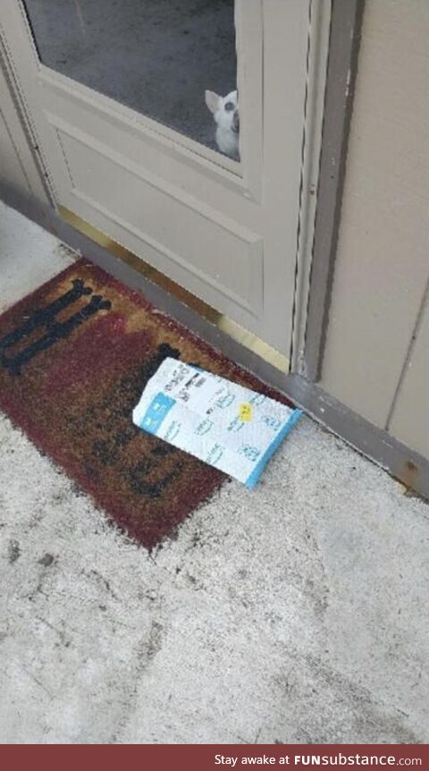 The picture that the Amazon delivery person took to confirm our package was delivered