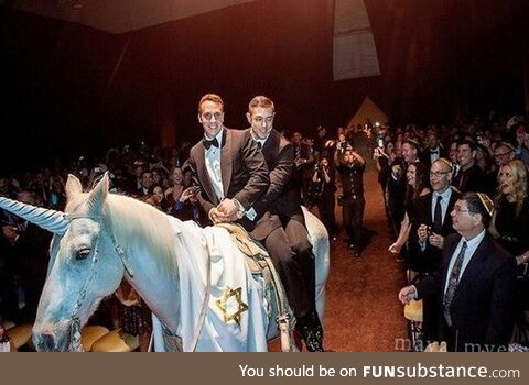 A gay jewish wedding where they rode in on a horse dressed as a unicorn