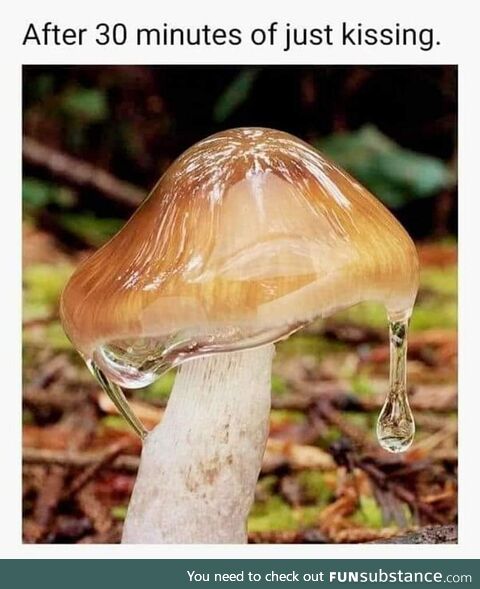 Be gentle darling, there's not mushroom