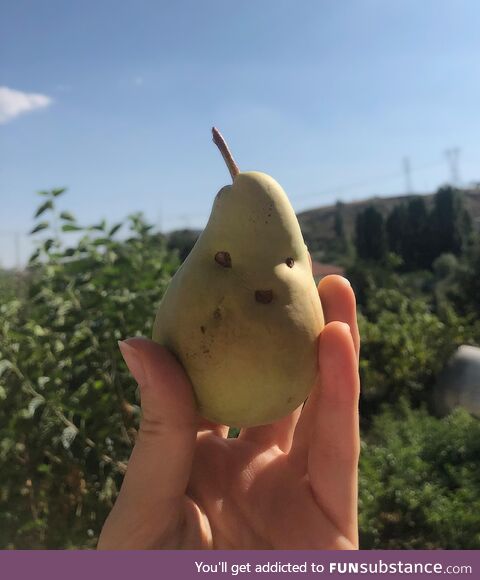 An unreasonably happy pear