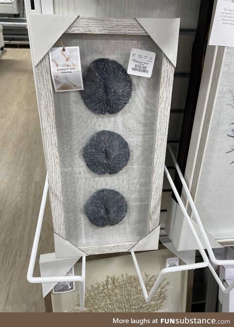 HomeGoods is selling art for proctologists’ offices
