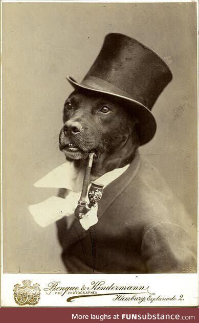 A dog with a top hat & pipe. (Circa Germany, 1894)