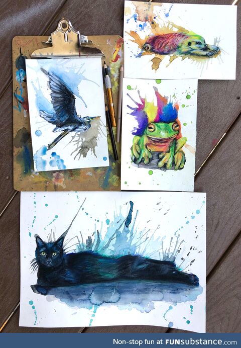 [OC]Finished these drawings today, 3 sploots and a frog