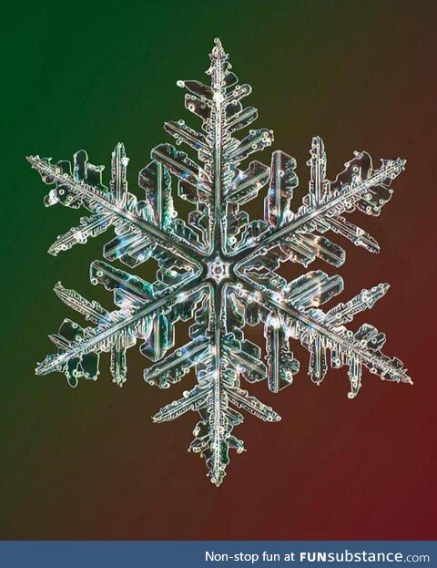 A high resolution photo a snowflake