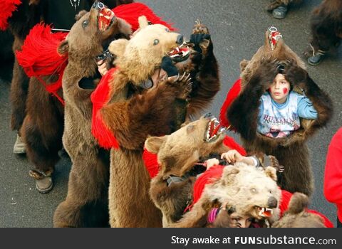 Ursul bear dance - Romania…. Bear skin can be up to 50.0kg!