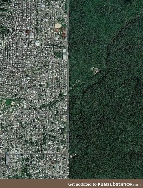 The border between the Brazilian city of Manaus and the Amazon rainforest