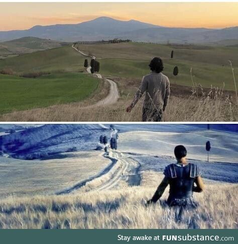 I found the spot from this scene in the movie Gladiator while driving around Tuscany,