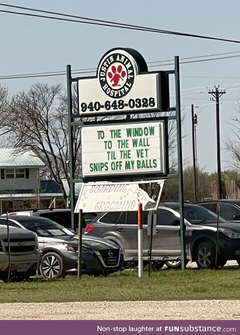 Caught this driving by my local veterinarian