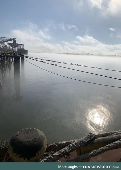 Mississippi River on a foggy morning