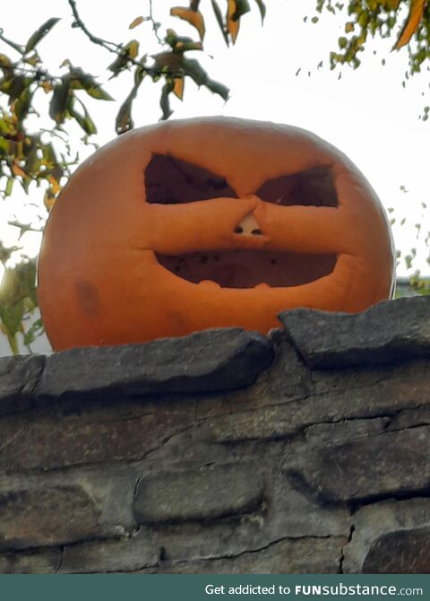 This pumpkin looks like he's on crack
