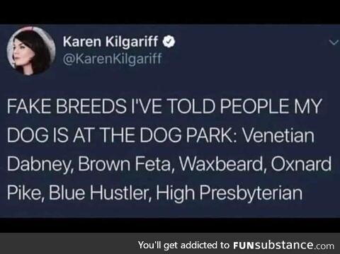 Dogs are a social construct