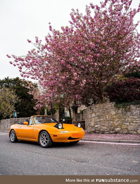 [OC] My 89’ MK1 MX5 that I picked up yesterday