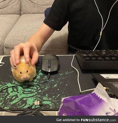 The best gaming mouse in the world