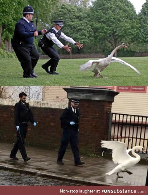 Wondered if the sequel to Hot Fuzz was being filmed in my town…