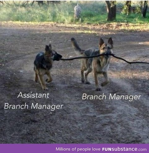 Branch management