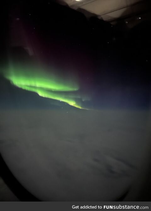 My gf saw the Northern lights from her SF -> Doja flight today