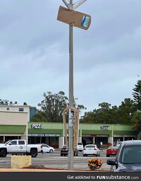 Tornado in Dunedin FL today, This port-a-potty was caught by a light post!