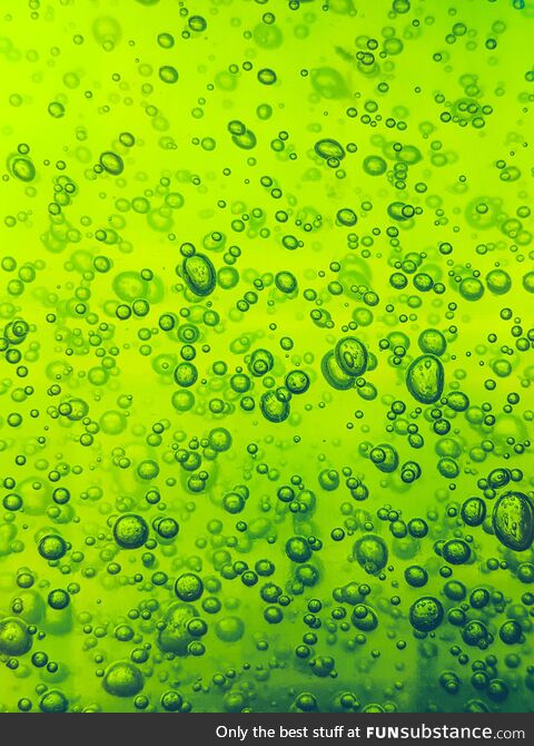 Hand sanitizer bubbles look like amoebas on a microscope slide
